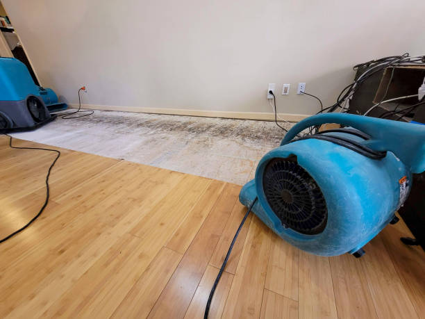 Professional Water Removal technician working in East Springfield, PA